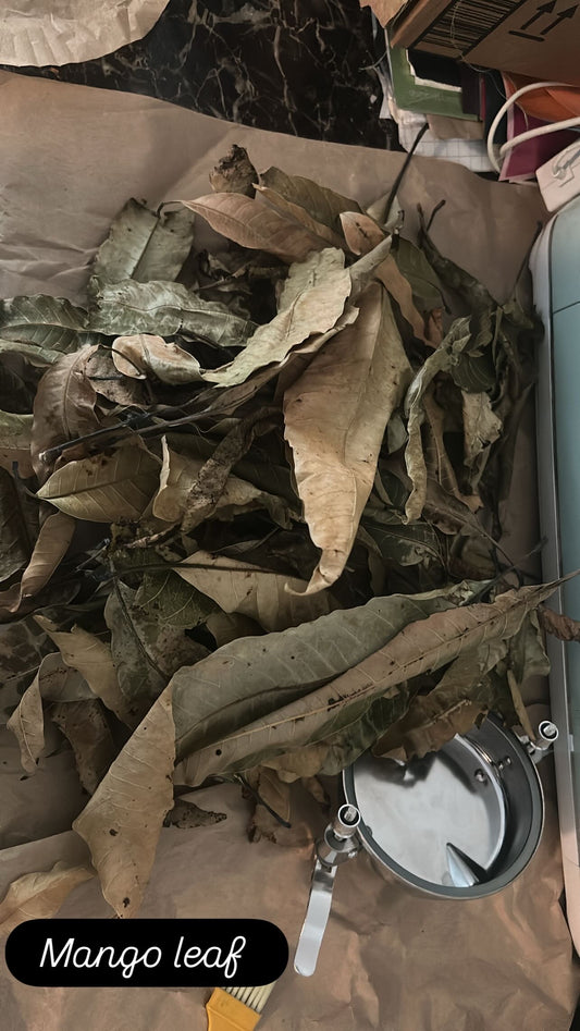 Mango leaf tea